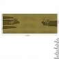 Preview: Bio Sommersweat DinoPower - Panel olive