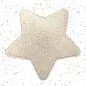 Preview: Loop-Patch / Chenille-Patch Stern