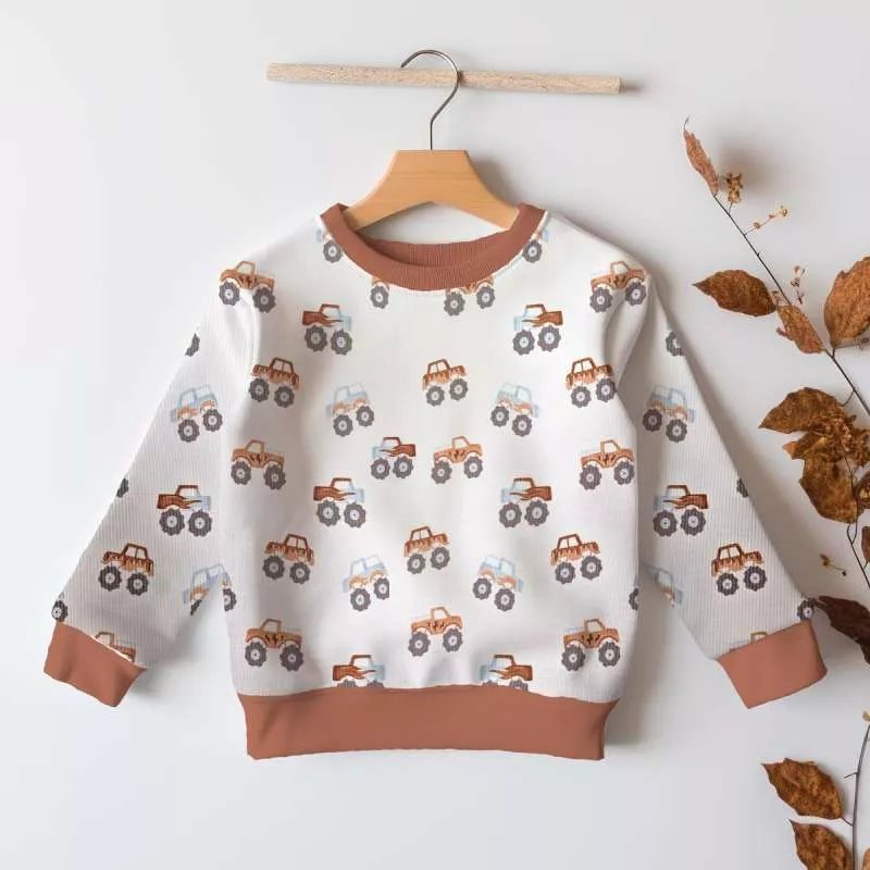 Kinderpullover aus Rippenjersey mit Motiv – weicher Ribjersey Stoff für Kinderkleidung in hellblau